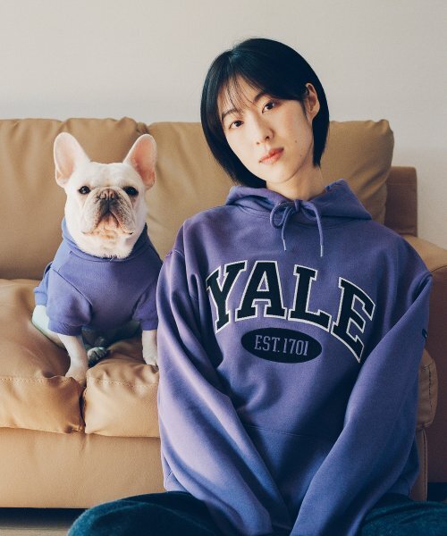 YALE（イェール）の「ツートンアーチフード_ライトカーキ（パーカー・メンズ・その他・SMALL/MEDIUM/LARGE/X-LARGE）」の17枚目の写真