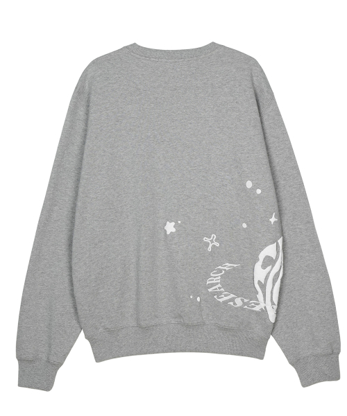 FDR(エフディーアール)の「Twinkle Bloom floopy Crewneck M.Gray(スウェット・メンズ・その他・MEDIUM/LARGE/SMALL)」の9枚目の写真