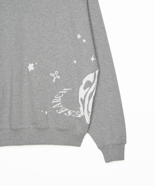 FDR(エフディーアール)の「Twinkle Bloom floopy Crewneck M.Gray(スウェット・メンズ・その他・MEDIUM/LARGE/SMALL)」の4枚目の写真