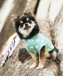 JEKYLL EGG（ジキルエッグ）の「JekyllEgg/ジキルエッグ/【くつろ着】ストレッチ綿水玉柄Tシャツ XS,S,M,L,XL/犬服（ドッグウェア）（ペットウェア）」