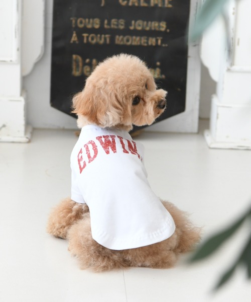 EDWIN（エドウィン）の「EDWIN/ビッグロゴTシャツ（ペットウェア・メンズ・ホワイト/グレー・2L/3L/S/M/L/XS）」の2枚目の写真