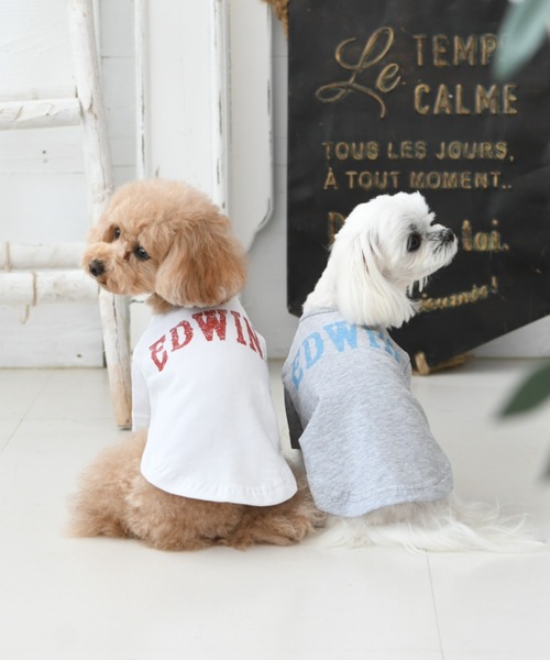 EDWIN（エドウィン）の「EDWIN/ビッグロゴTシャツ（ペットウェア・メンズ・ホワイト/グレー・2L/3L/S/M/L/XS）」の3枚目の写真