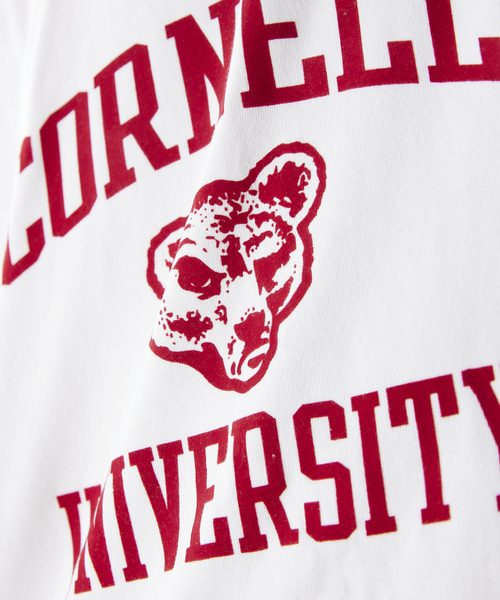 JOURNAL STANDARD relume（ジャーナルスタンダード　レリューム）の「【CORNELL / コーネル】別注 カレッジプリントTシャツ 1（Tシャツ/カットソー・メンズ・ホワイト/ネイビー/ホワイト系その他/バーガンディー/ホワイト系その他2/ネイビー系1・MEDIUM/LARGE）」の12枚目の写真