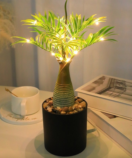 A Little Happiness(AgnslX)Tree Light(Ɩ)