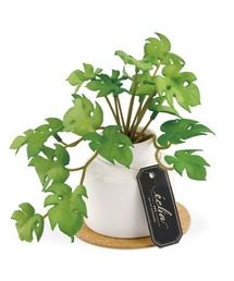 BACKYARD FAMILY（バックヤードファミリー）の「エクリア 消臭アーティフィシャルグリーン ポットSサイズ（インテリア雑貨）」