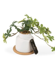 BACKYARD FAMILY（バックヤードファミリー）の「エクリア 消臭アーティフィシャルグリーン ポットSサイズ（インテリア雑貨）」