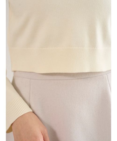 SNIDEL（スナイデル）の「ブローチ付きニットプルオーバー（ニット/セーター・レディース・グレー/イエロー/アイボリー/その他・F）」の19枚目の写真