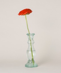 TODAY'S SPECIAL(�g�D�f�C�Y�X�y�V����)��REVASE NOVIEMBRE / 641438(�t�����[�x�[�X)