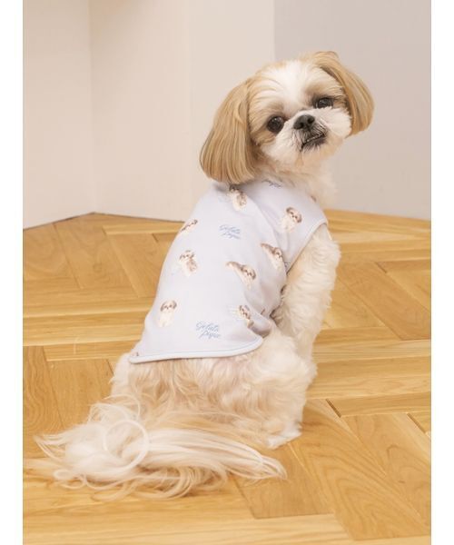 ジェラートピケ シーズー柄プルオーバー セール】【CAT&DOG】シーズー柄プルオーバー（ペットウェア）｜gelato