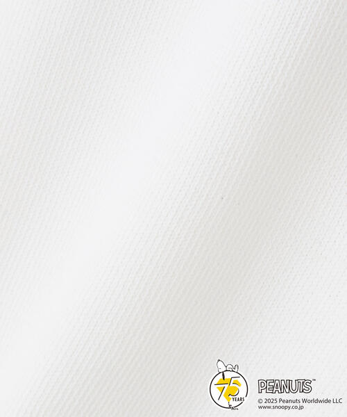 PEARLY GATES(パーリーゲイツ)の「【PEARLY GATES】【SNOOPY】14G 部分JQクルーネックニットプルオーバー(ニット/セーター・メンズ・ホワイト・MEDIUM/LARGE)」の13枚目の写真