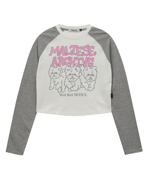 WaiKei(ワイケイ)の「マルチーズアーカイブライングラフィックラグランロングスリーブTシャツホワイト(Tシャツ/カットソー・レディース・その他・0/1/2)」の5枚目の写真