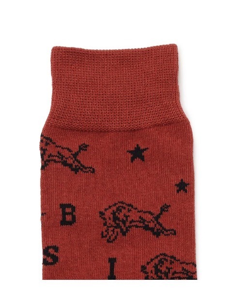IL BISONTE(イルビゾンテ)の「IL BISONTE / ソックス / 2026 SPRING SUMMER(ソックス/靴下・レディース・グリーン/ブルー/ピンク系その他・1/2)」の5枚目の写真