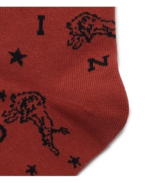IL BISONTE(イルビゾンテ)の「IL BISONTE / ソックス / 2026 SPRING SUMMER(ソックス/靴下・レディース・グリーン/ブルー/ピンク系その他・1/2)」の6枚目の写真