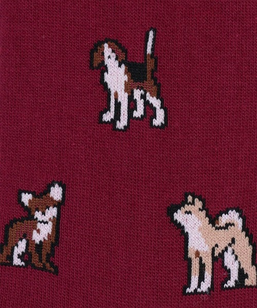 Paul Smith(ポールスミス)の「ウィメンズ "Kyoto Dogs" ソックス / 265600 CSW(ソックス/靴下・レディース・ブルー/バーガンディー・22-24)」の4枚目の写真