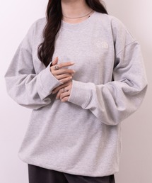 THE NORTH FACE(ザ・ノースフェイス)/ワンポイント ロゴ刺繍 スウェット サイズ展開豊富 大きめサイズあり/M'S CORE SWEATSHIRTS