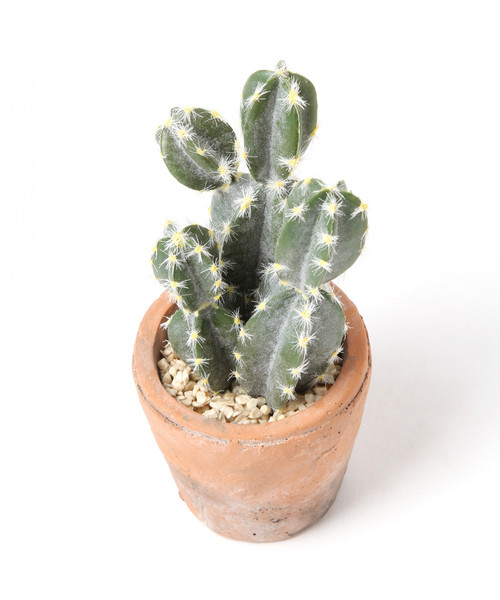 フェイクグリーン サクレントカクタスポットｄ インテリアアクセサリー インテリア And ニコアンド のファッション Niko Niko