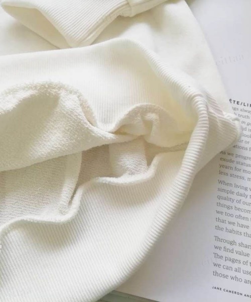 Dalfwin（ダールフィン）の「シャーベットカラーリーフ刺繍ロゴスウェット（スウェット・レディース・ピンク/ブルー/イエロー/アイボリー・FREE）」の10枚目の写真