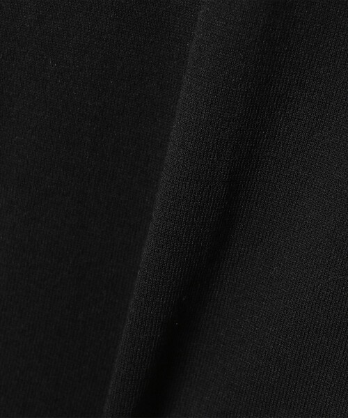 BEAMS LIGHTS(ビームスライツ)の「BEAMS LIGHTS / スキッパー ニットポロシャツ(ポロシャツ・メンズ・グリーン系その他2/ブラック・LARGE/SMALL/MEDIUM)」の15枚目の写真