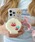 WEGOiEBS[j́uWEGO/~jtbVVFX^[ʂ݃L[z_[iL[z_[jvbzCg
