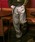 OPULENCE�i�I�[�s�������X�j�́u5-Pocket Pique Pants 5�|�P�b�g�s�P�p���c�i���̑��p���c�j�v�b�J�[�L