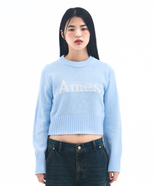 AMESWORLDWIDE（アメスワールドワイド）の「BASIC PULLOVER KNIT LIGHT BLUE（ニット/セーター・レディース・その他・LARGE/MEDIUM/SMALL）」の2枚目の写真