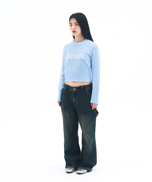 AMESWORLDWIDE（アメスワールドワイド）の「BASIC PULLOVER KNIT LIGHT BLUE（ニット/セーター・レディース・その他・LARGE/MEDIUM/SMALL）」の4枚目の写真