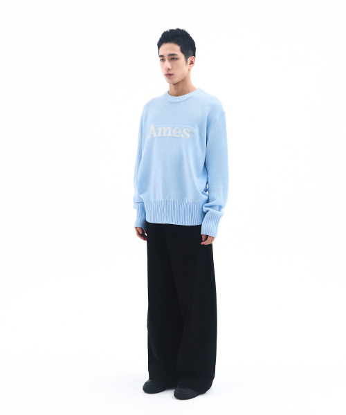 AMESWORLDWIDE（アメスワールドワイド）の「BASIC PULLOVER KNIT LIGHT BLUE（ニット/セーター・レディース・その他・LARGE/MEDIUM/SMALL）」の5枚目の写真