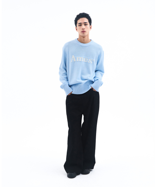 AMESWORLDWIDE（アメスワールドワイド）の「BASIC PULLOVER KNIT LIGHT BLUE（ニット/セーター・レディース・その他・LARGE/MEDIUM/SMALL）」の7枚目の写真
