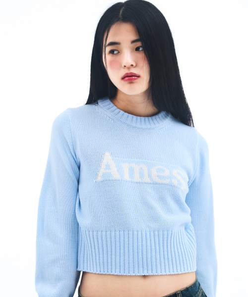 AMESWORLDWIDE（アメスワールドワイド）の「BASIC PULLOVER KNIT LIGHT BLUE（ニット/セーター・レディース・その他・LARGE/MEDIUM/SMALL）」の8枚目の写真