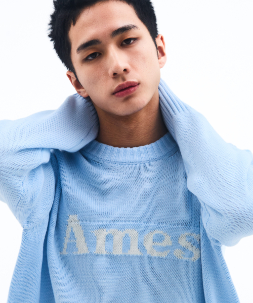 AMESWORLDWIDE（アメスワールドワイド）の「BASIC PULLOVER KNIT LIGHT BLUE（ニット/セーター・レディース・その他・LARGE/MEDIUM/SMALL）」の9枚目の写真