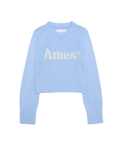 AMESWORLDWIDE（アメスワールドワイド）の「BASIC PULLOVER KNIT LIGHT BLUE（ニット/セーター・レディース・その他・LARGE/MEDIUM/SMALL）」の11枚目の写真