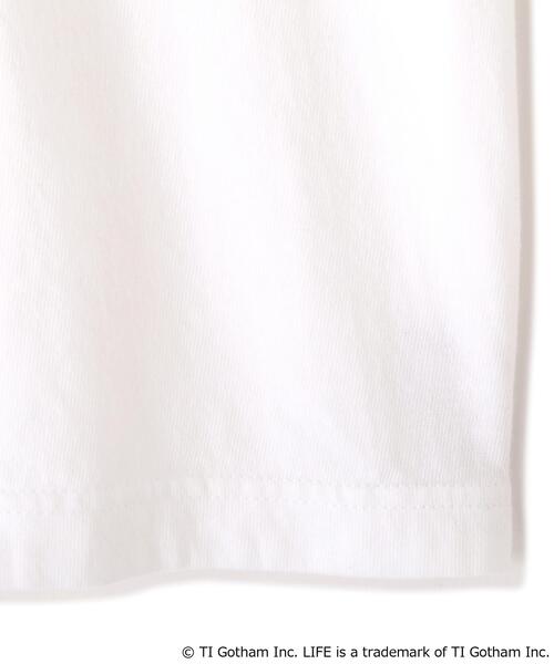 LIFE(ライフ)の「◆【LIFE PICTURE COLLECTION別注】フォトTシャツ DOG(Tシャツ/カットソー・レディース・ホワイト/ベージュ・MEDIUM)」の8枚目の写真