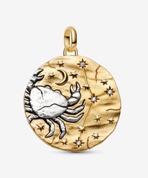 Pandora（パンドラ）の「ゾディアック 12星座 ビッグ メダリオンチャーム（チャーム）」