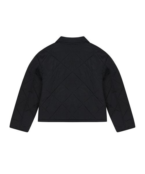 LUVISTRUE(ラヴイズトゥルー)の「OT QUILTING JACKET(BLACK)(ダウンジャケット/コート・レディース・その他・FREE)」の3枚目の写真