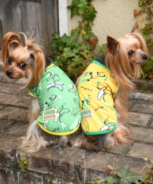 LOGOS（ロゴス）の「LOGOS/ロゴス/バナナタンク/犬服(ドッグウェア)（ペットウェア・メンズ・イエロー/グリーン・S/M/L/2L/XS/2M）」の3枚目の写真