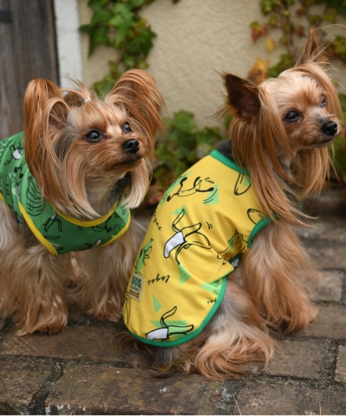 LOGOS（ロゴス）の「LOGOS/ロゴス/バナナタンク/犬服(ドッグウェア)（ペットウェア・メンズ・イエロー/グリーン・S/M/L/2L/XS/2M）」の4枚目の写真