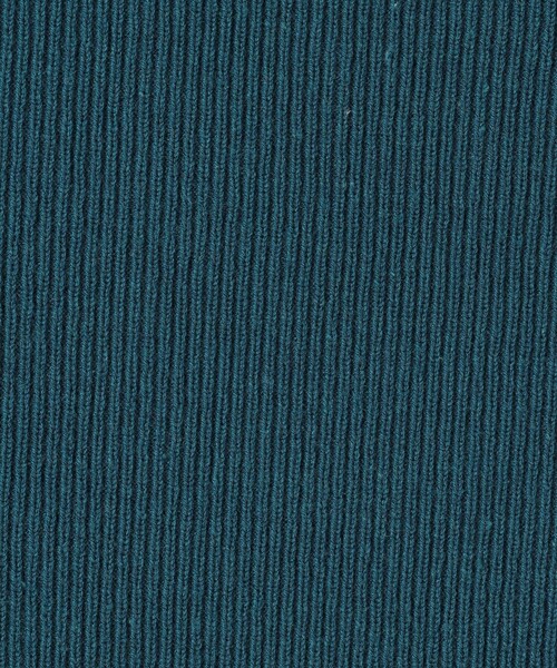 BEAUTY&YOUTH UNITED ARROWS（ビューティーアンドユースユナイテッドアローズ）の「【WEB限定】レーヨンコットン リブタイトスカート -ウォッシャブル-（スカート・レディース・グレー/ブラック/コバルトブルー/オレンジ・M/S）」の11枚目の写真