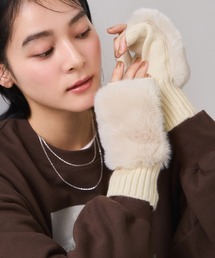 VIS(rX)̃tBK[Xt@[A[EH[}[()