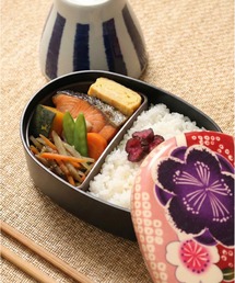 HAKOYA(�n�R��)��HAKOYA �z�\������i�ٓ� ���s���N 480ml(���ٓ���)