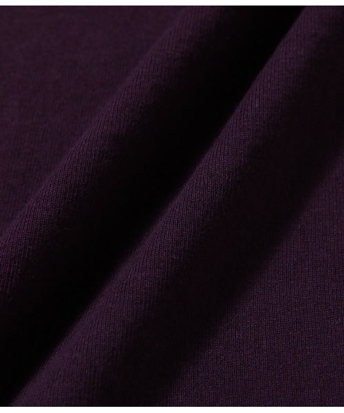 FRUIT OF THE LOOM（フルーツオブザルーム）の「FRUIT別注ミニカレッジロゴTEE（Tシャツ/カットソー・メンズ・オフホワイト/パープル/ベージュ・L/M）」の5枚目の写真