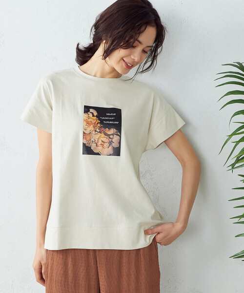 COMME CA ISM(コムサイズム)の「フォトプリント Tシャツ(Tシャツ/カットソー・レディース・ブラウン/レッド/オリーブ/アイボリー・SMALL/MEDIUM/LARGE)」の6枚目の写真
