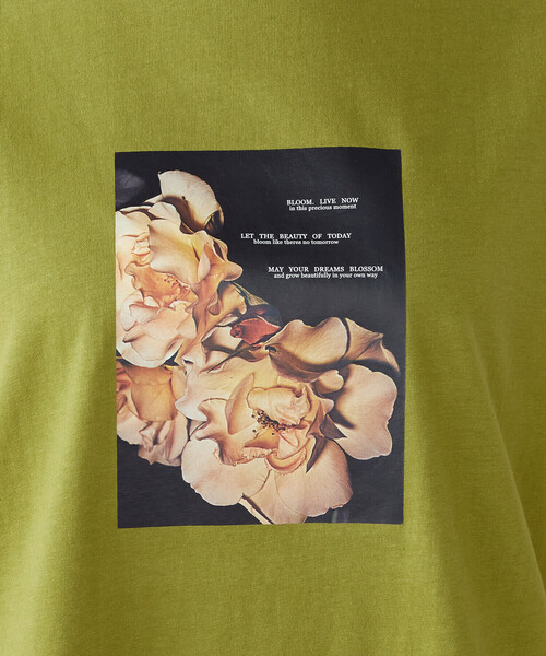 COMME CA ISM(コムサイズム)の「フォトプリント Tシャツ(Tシャツ/カットソー・レディース・ブラウン/レッド/オリーブ/アイボリー・SMALL/MEDIUM/LARGE)」の21枚目の写真