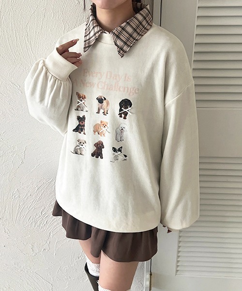 apres jour(アプレジュール)の「袖リボンアソートチェックシャツ(シャツ/ブラウス・レディース・ピンク系その他/ホワイト系その他2/ベージュ系その他/ブルー系その他・X-LARGE/フリー)」の17枚目の写真