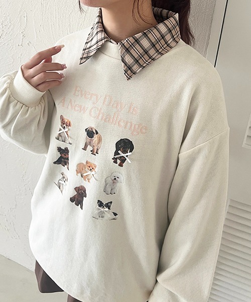 apres jour(アプレジュール)の「袖リボンアソートチェックシャツ(シャツ/ブラウス・レディース・ピンク系その他/ホワイト系その他2/ベージュ系その他/ブルー系その他・X-LARGE/フリー)」の16枚目の写真