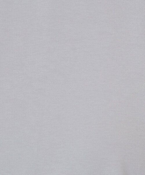 index（インデックス）の「シアーバルーンスリーブトップス【洗濯機洗い可/接触冷感】（Tシャツ/カットソー・レディース・アイボリー/ブラック/ライトグレー・36/38/40/42）」の11枚目の写真