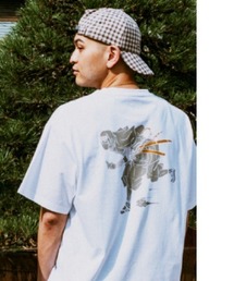VANS ヴァンズ NINJA SS TEE ショートスリーブ VN0011YDWHT ABC-MART限定 WHITE