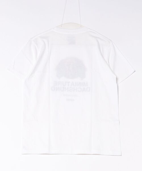 Moftique(モフティック)の「Moftique(モフティック) エントリーモデル 半袖Tシャツ アニマル ミニチュアダックスフンド 犬 ドッグ ペット インクジェットプリント 褪せ感 4.0オンス 薄手 トップス カットソー 夏 カジュアル レディース ユニセックス(Tシャツ/カットソー・レディース・ホワイト・S)」の2枚目の写真