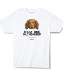 Moftique | Moftique(モフティック) エントリーモデル 半袖Tシャツ アニマル ミニチュアダックスフンド 犬 ドッグ ペット インクジェットプリント 褪せ感 4.0オンス 薄手 トップス カットソー 夏 カジュアル レディース ユニセックス(Tシャツ/カットソー)