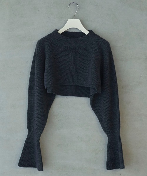 lautreamont BLEUBLANC（ロートレアモンブルーブラン）の「<lautreamont BLEUBLANC>キャンディスリーブショートニット≪手洗い可能≫（ニット/セーター・レディース・ベージュ/ピンク/ネイビー/チャコールグレー・9号）」の5枚目の写真