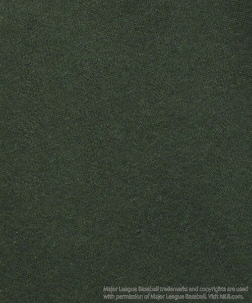 FREAK'S STORE(フリークスストア)の「WEB限定 MLB/メジャーリーグベースボール 別注 ビッグシルエット アーチロゴ サテン刺繍 クルーネックスウェット/YANKEES(スウェット・メンズ・グリーン/ブラック/グレー/オフホワイト/サックスブルー・SMALL/MEDIUM/LARGE)」の13枚目の写真